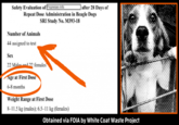 Safety Evaluation of Proprietary Info |after 28 Days of Repeat Dose Administration in Beagle Dogs SRI Study No. M393-18 Number of Animals 44 assigned to test Sex 22 Males and 22 females Age at First Dose 6-8 months Weight Range at First Dose 8-11.5 kg (males); 6.5–11 kg (females) Obtained via FOIA by White Coat Waste Project