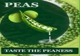 PEAS TASTE THE PEANESS