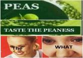 PEAS TASTE THE PEANESS The WHAT