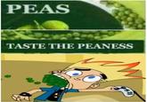 PEAS TASTE THE PEANESS 88