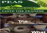 PEAS TASTE THE PEANESS The What imaflip.com