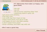 : Anonymous 03/01/20(Sun)22:11:45 No.821858655 ITT: Memories that make us happy, and good feels. >be me >be 25 >be at home watching Star Trek >watching sister's spaz cat 31 KB JPG >got pizza and whiskey >cat trots over, >cat sniffs leg then hops on lap >need more pizza, but cat is in lap >cat begins to purr and falls asleep >l don't need more pizza >finish whiskey and take nap with cat mfw it was a good day View Thread