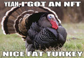 Just in time for Thanksgiving YEAH-IGOT AN NFT NICE FAT TURKEY