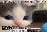 NORMALIZE SENDING ME 500 DOLLARS FOR BEING Average