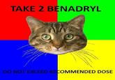 TAKE 2 BENADRYL DO NOT EXCEED RECOMMENDED DOSE