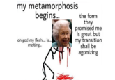 my metamorphosis begins. the form they promised me is great but my transition shall be agonizing oh god my flesh.. is. melting.
