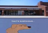 ANIMAL HOSPITAL CHINA CHEF THAT'S SUSPICIOUS...