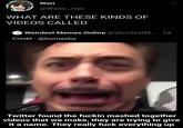 Wari @Wario_Jojo WHAT ARE THESE KINDS OF VIDEOS CALLED Weirdest Memes Online @WeirdestM.. · 1d Credit - @bomasbs Twitter found the f----- mashed together videos that we make, they are trying to give it a name. They really f--- everything up
