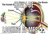 tHOWI BE Eye Muscle The Human Iris Cornea, Pupil LOOKING AT MFS 2 wervé made with mematic