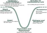 "NORMAL" FUNCTIONING The phantom, exterior like fish eggs RETURN TO MEANINGFUL LIFE interior like suicide wrist-red Yo I'm adding this guy to friends. I could exercise you, this could be your phys-ed cheat on your man homie Shock and Denial Ассeptance We're dead! AGHHH I tried to sneak through the door man! You're a g-g-genuine d--- sucker! Anger Can't make it, can't make it, Dialogue and Bargaining the s---'s stuck! Please! I beg you! Depression and Detachment Outta my way son! DOOR STUCK! DOOR STUCK!