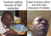 this is just a meme pls don't hate, donate to teamseas | /r/memes humans eating also humans when one fish dies because of plastic tonnes of fish everyday