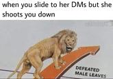 when you slide to her DMs but she shoots you down u/56ab118 DEFEATED MALE LEAVES