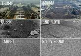 TRUMP BRAMA QUEEN PINK FLOYD CARPET NO TV SIGNAL