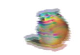 Glitch Chomik