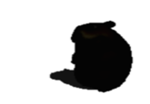 Shadow Chomik