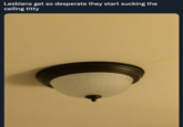 Lesbians get so desperate they start sucking the ceiling t----