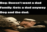 Dog: Doesn't wanta dad Family: Gets a dad anyway Dog and the dad:
