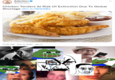 Death of the Tendies Meme BallerAlert ... @balleralert Chicken Tenders At Risk Of Extinction Due To Global Shortage dlvr.it/SDK8BZ 11:55 AM - Dec 4, 2021 - dlvr.it