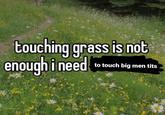 touching grass is not enough i need to touch big men t---