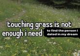 touching grass is not enough i need to find the person i dated in my dream