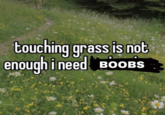 touching grass is not enough i need BOOBS