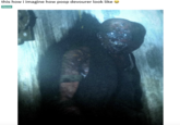 this how i imagine how poop devourer look like a Meme