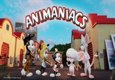 ANIMANIACS TM & © WBE. (s21). Final figure may vary.