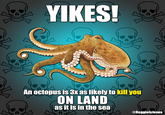 YIKES! An octopus is 3X as likely to kill you ON LAND as it is in the sea @ReggielsJesus