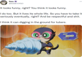Rata ... @RANK10YGO It looks funny, right? You think it looks funny. I do too. But it lives its whole life. So you have to take it seriously eventually, right? And be respectful and s---. I think it can digging in the ground for tubers. DEF B00 LV