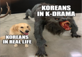 KOREANS IN K-DRAMA KOREANS IN REAL LIFE imgflip.com
