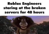 Roblox Engineers staring at the broken servers for 48 hours