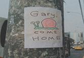 Gary, COME HOME