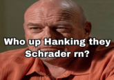 Who up Hanking they Schrader rn?
