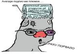 Average подписчик плюмов.. железный димон/ этодругое.gif Дриплел рашку ABAT PHf Певаки. пИБЁРАХУ ПОРВАЛО