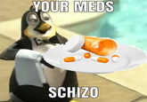YOUR MEDS SCHIZO