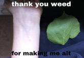 thank you weed for making me alt