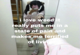 Scared i love weed it really puts me in a state of pain and makes me terrified of livin