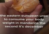 the eastern european urge to consume your body weight in mandarins the second it's december