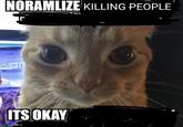 NORAMLIZE KILLING PEOPLE ITS OKAY