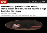 Perfectly preserved baby dinosaur discovered curled up inside its egg:
https://www.cnn.com/2021/12/21/asia/baby-dinosaur-inside-egg-scn/index.html