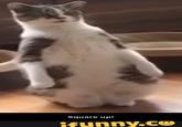 Square up! ifunny.co