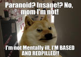 Paranoid? Insaņe!? No, mom I'm not! 17 I'm not Mentally ill, I'M BASED AND REDPILLED!