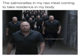 The salmonellas in my raw meat coming to take residence in my body @rawmeatexperiment