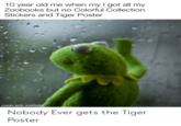 Nobody ever gets the Tiger Poster 10 year old me when my I got all my Zoobooks but no Colorful Collection Stickers and Tiger Poster made with mematic Nobody Ever gets the Tiger Poster