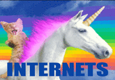 INTERNETS