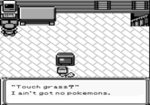 "Touch grass?" I ain't got no pokemons.