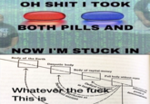 Oh S--- I Took Both Pills Now I'm Stuck In ОH S--- I TОOK BOTH PILLS AND NOW I'M STUCK IN Body of the Earth Despotic body Body of capital-money Full body without organs Schizophrenic Oedipal as familial neuloses process of deterritorialization r the f--- Whateve This is as Paranctac usycho potic
