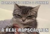 NORMALIZE BEING A STINKER A REAL RAPSCALLION