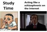 Acting like a schizophrenic on the internet Study Time
