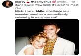 #teamvenus 100 @mte... · 1d : david bowie: wow björk it's great to meet marcy you björk: i have riddle. what large as a mountain small as a pea endlessly swimming in waterless sea?